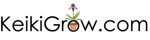 KeikiGrow from rePotme.com